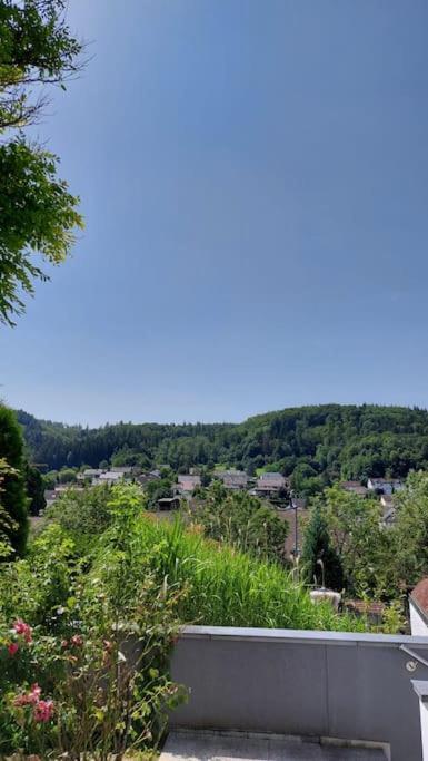 Apartment Talblick Kandern Eksteriør billede